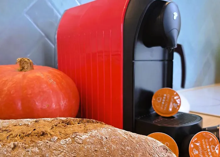 Marina - Przy Jeziorze, Taras, Tv55